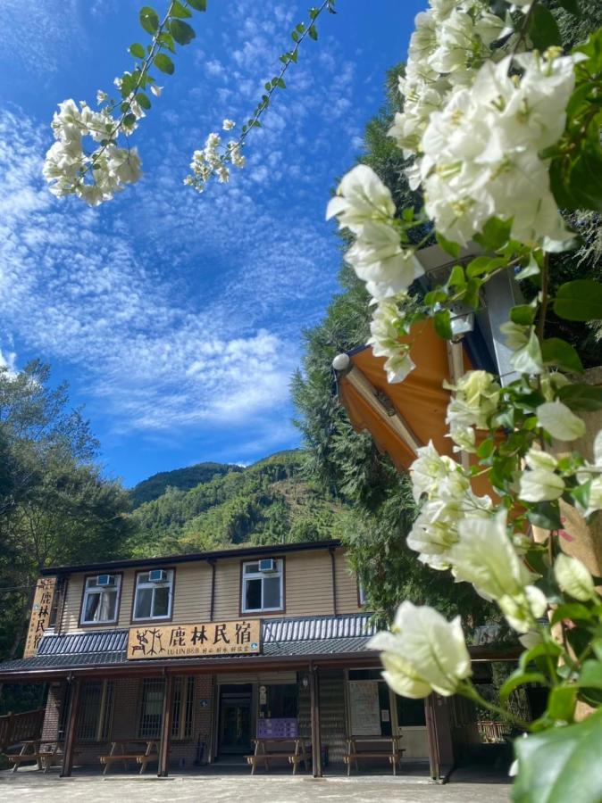 Lu-Lin B&B Wufeng  Esterno foto