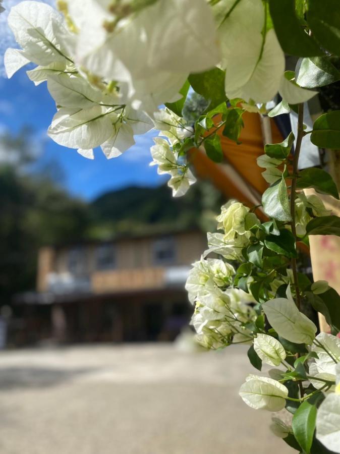 Lu-Lin B&B Wufeng  Esterno foto